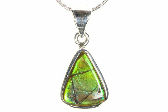 Stunning Ammolite Pendant (Necklace) - Sterling Silver #278427